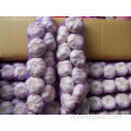 Jinxiang Ail Tresses En 30cm-60cm Longueur